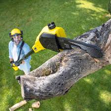 Best Grass Overseeding  in Country Squire Lakes, IN